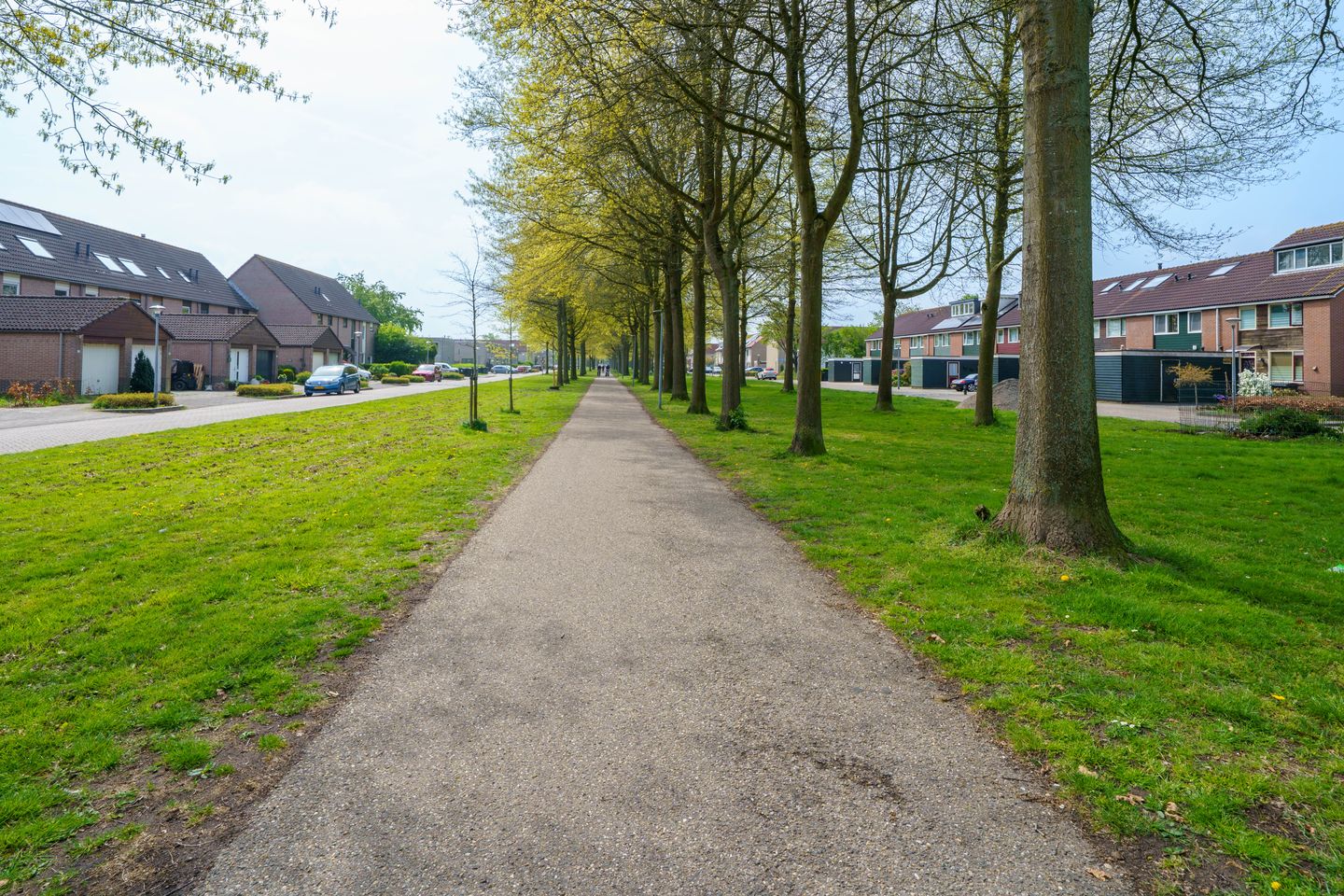 Foto 44 van Dadelklaverstraat 54