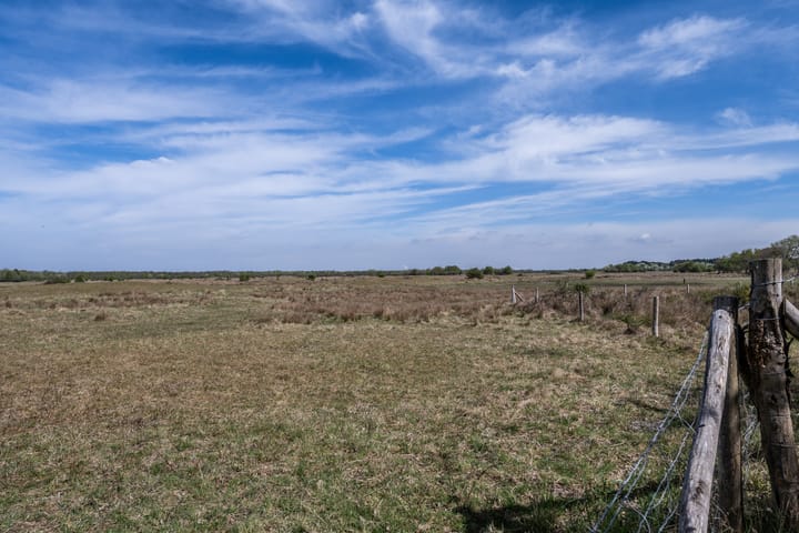 Foto 39 van Jonkerstee 84