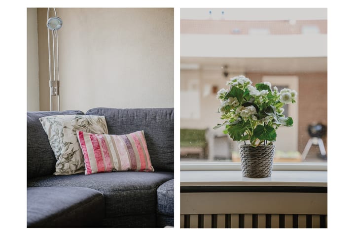 Foto 5 van Hoefken 4