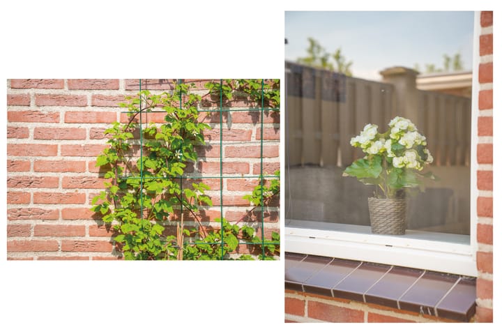 Foto 23 van Hoefken 4