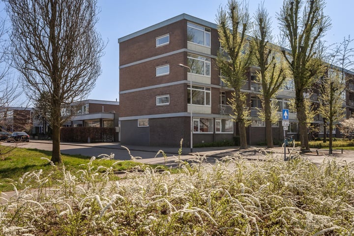 Nieuwe Mollenhutseweg 51