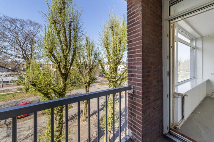 Foto 10 van Nieuwe Mollenhutseweg 51