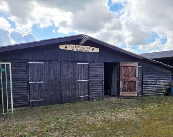 Bekijk foto 4 van Renheide