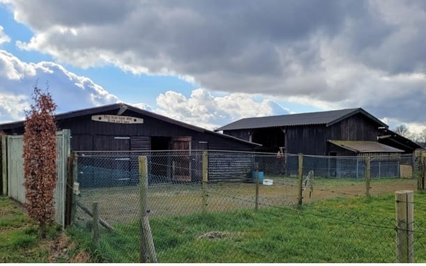 Bekijk foto 3 van Renheide