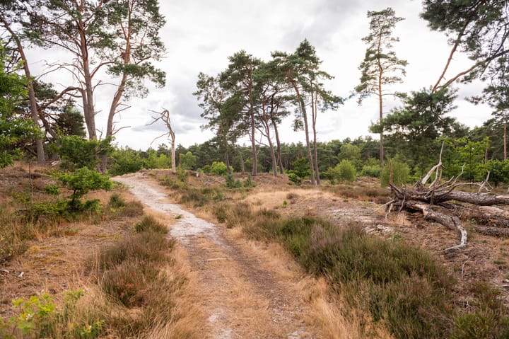 Photo 14 of Harderwijkerweg 445 - Perceel 13