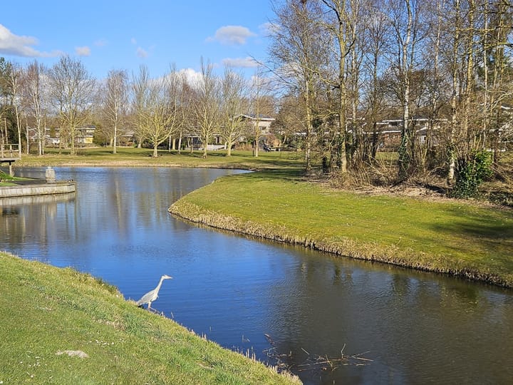 Foto 14 van Birdielaan 57