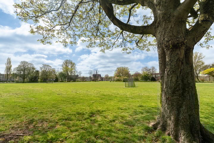 Foto 39 van Vondelstraat 62