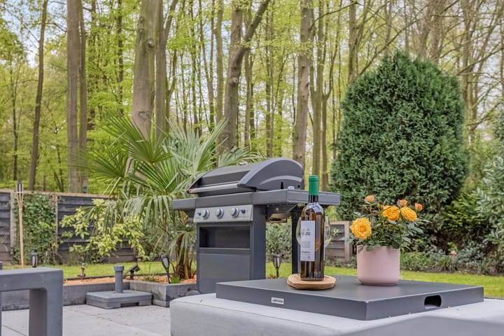 Foto 46 van Ben Goerionplein 6