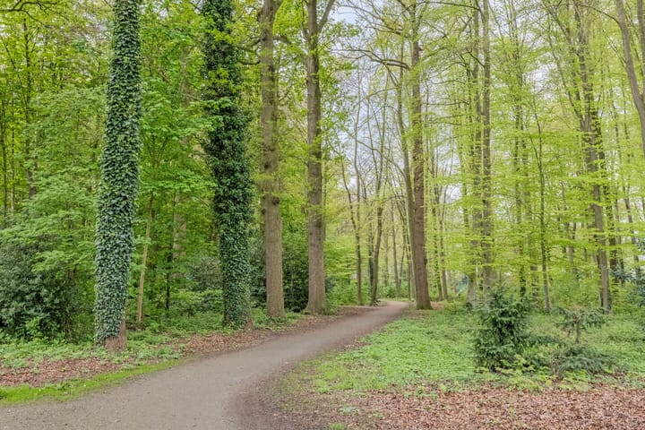 Foto 55 van Ben Goerionplein 6