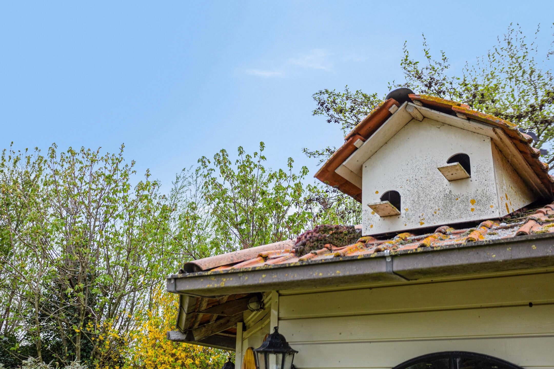 Foto 48 van Delfweg 70