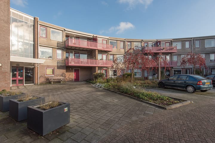 Dokter Wilminkstraat 61-D