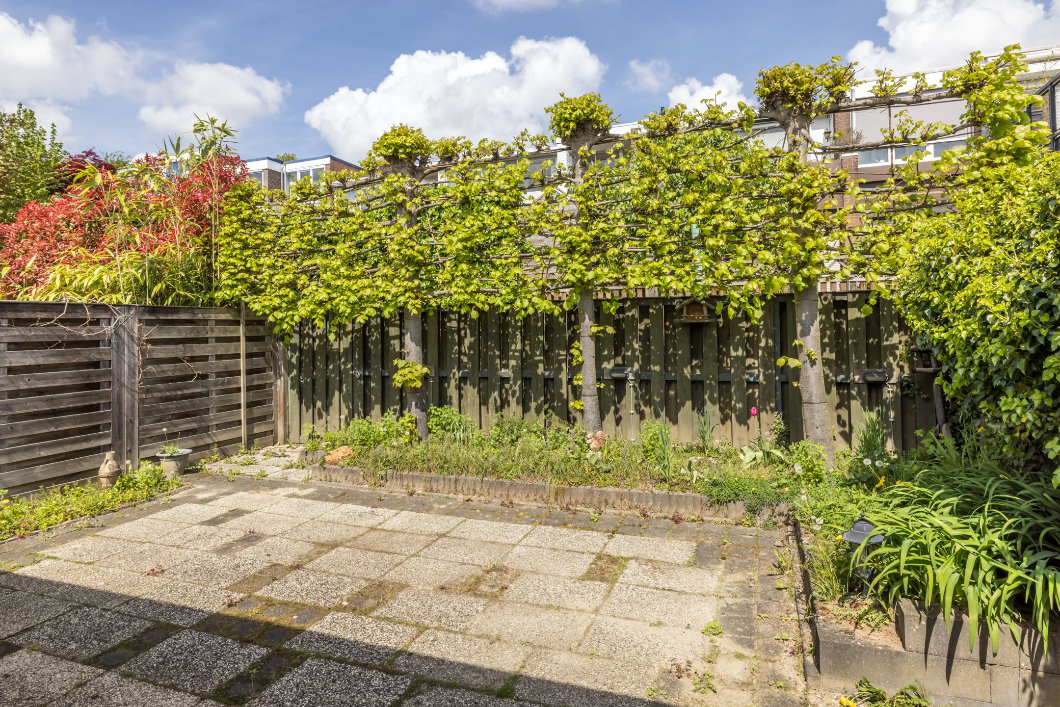 Foto 27 van Drossaertweide 51