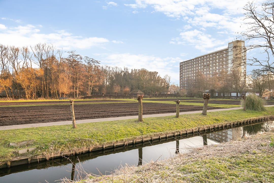 Foto 26 van Vreeswijkstraat 403