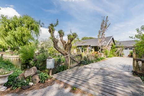 undefined main image