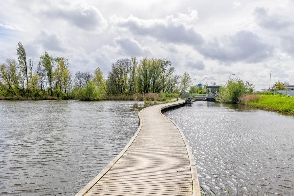 Foto 25 van Begoniatuin 279