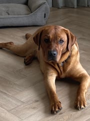 Benthe - Officemanager
