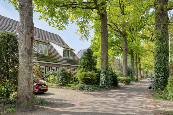 Foto 3 van Doctor Schaepmanlaan 5