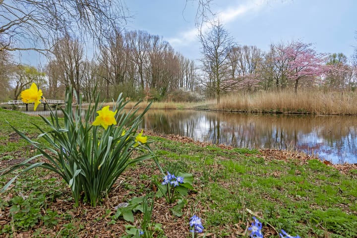 Foto 33 van Spaansgroenstraat 54