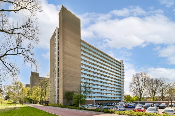 Foto 1 van Langswater 896