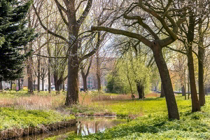 Foto 29 van Langswater 896