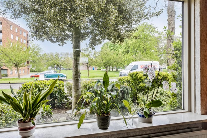 Photo 9 of Lijzijde 128