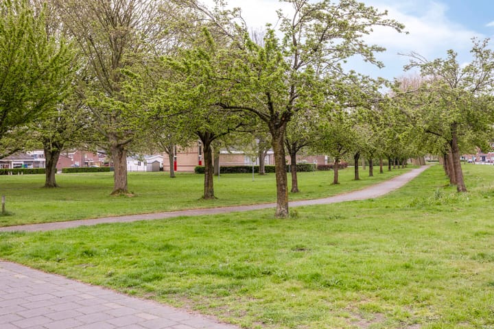 Photo 44 of Lijzijde 128