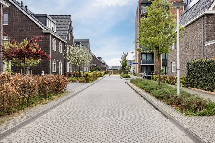 Photo 52 of Akkermunt 61