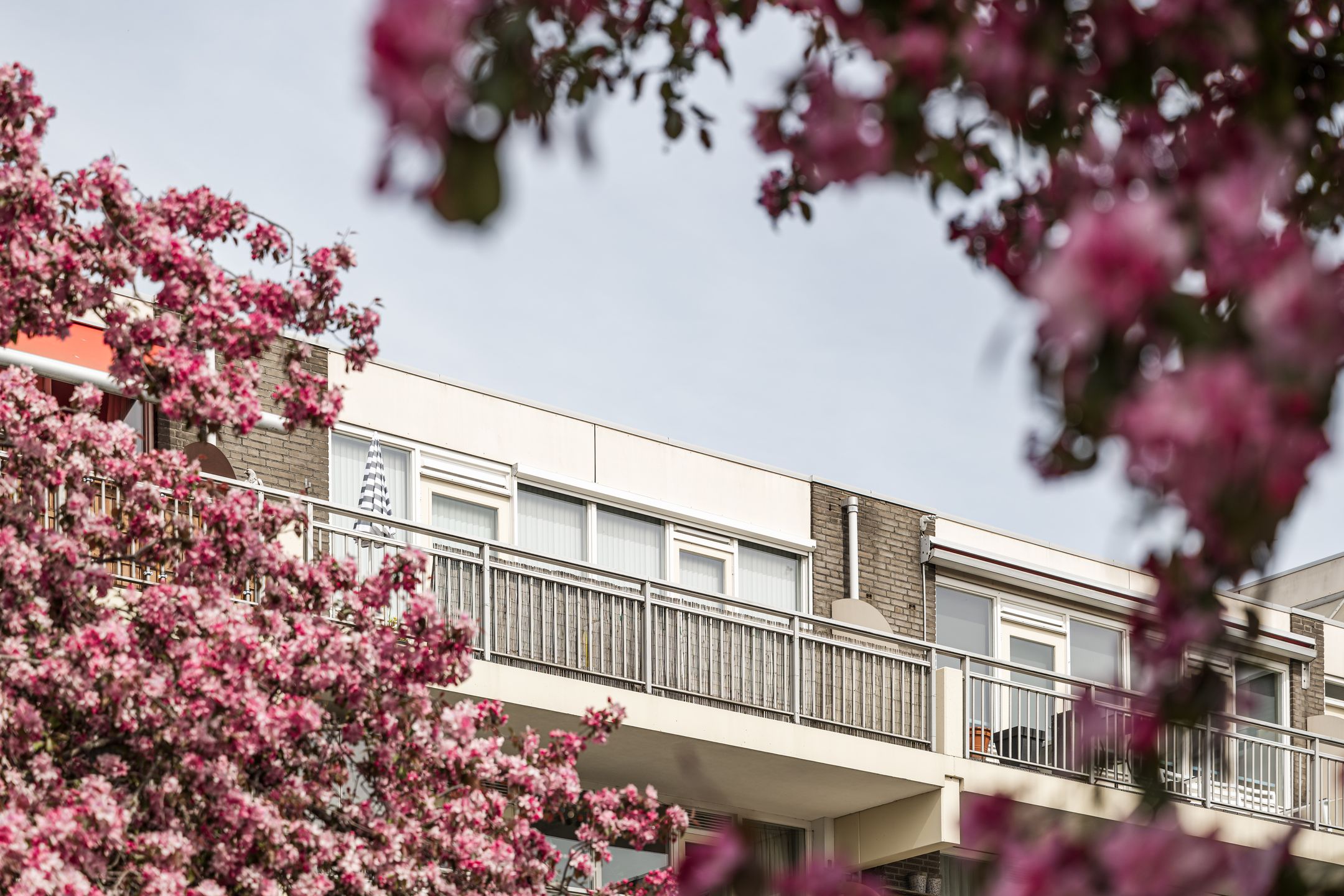 Foto 36 van Spaarndamseweg 788