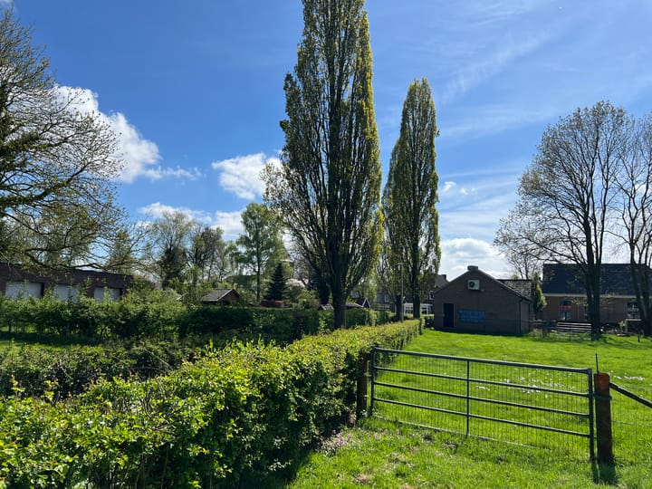 Foto 10 van Roggestraat 69