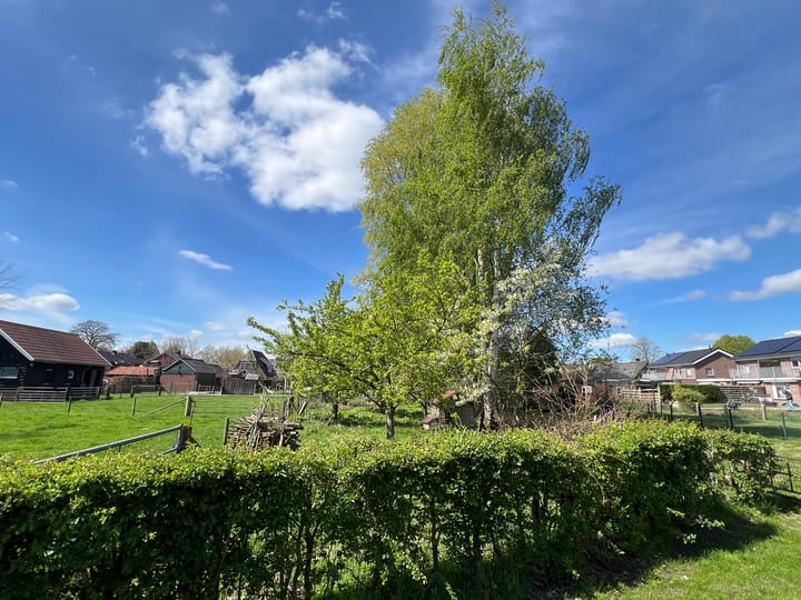 Foto 11 van Roggestraat 69