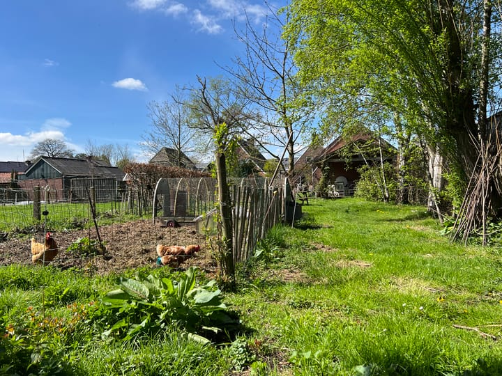 Foto 16 van Roggestraat 69