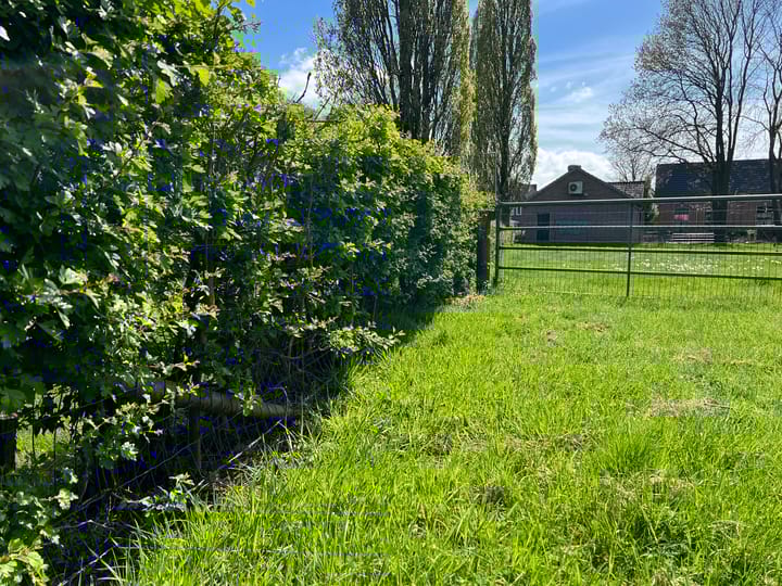 Foto 14 van Roggestraat 69