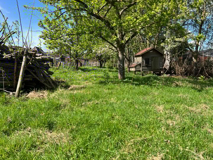 Foto 15 van Roggestraat 69