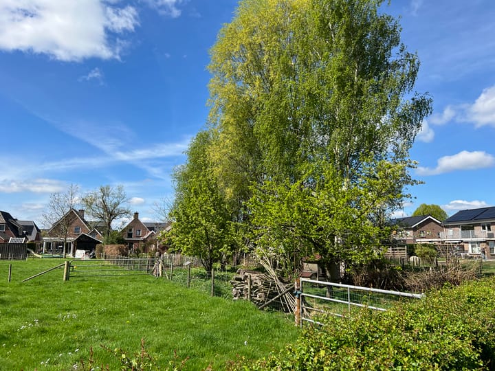 Foto 44 van Roggestraat 69