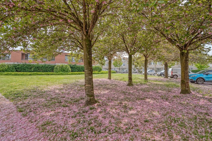 Foto 21 van Maïsberg 162