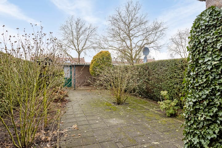 Foto 21 van Tamboerijnstraat 25