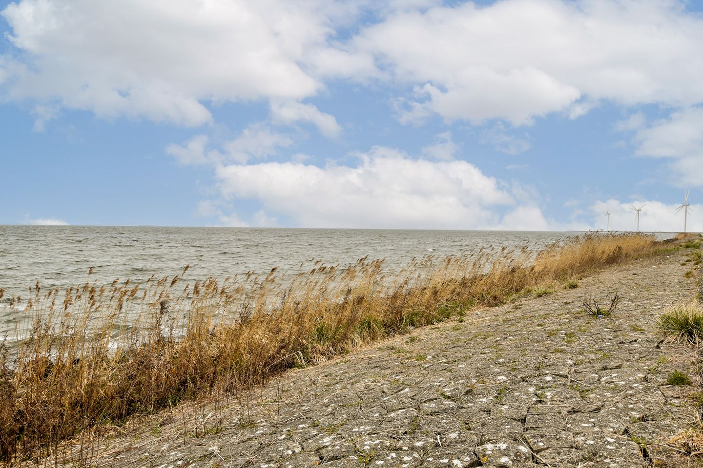 Photo 29 of Olivier van Noortstraat 152