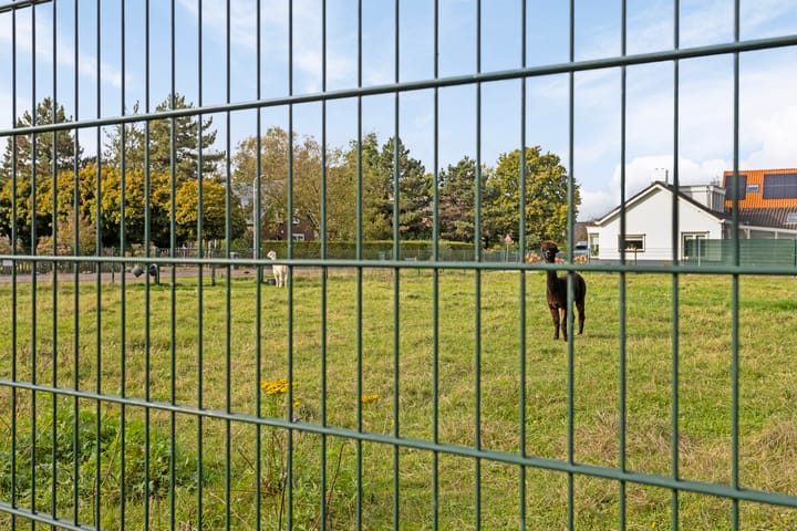 Foto 61 van Dominee Van Ingenstraat 4