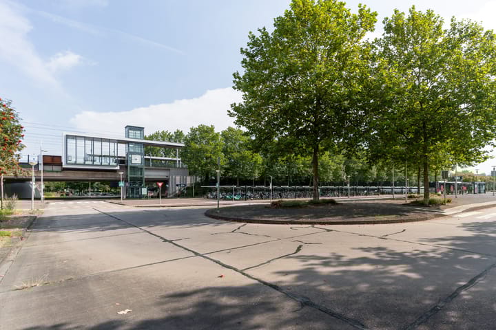 Foto 39 van Paddenstoelenlaan 113