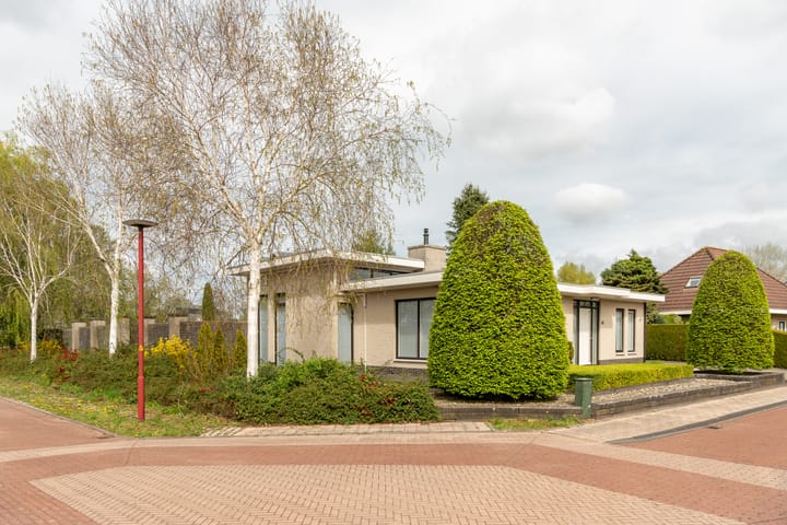 Foto 6 van Rietpol 43