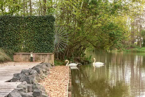 Rietpol 43 tertiary image