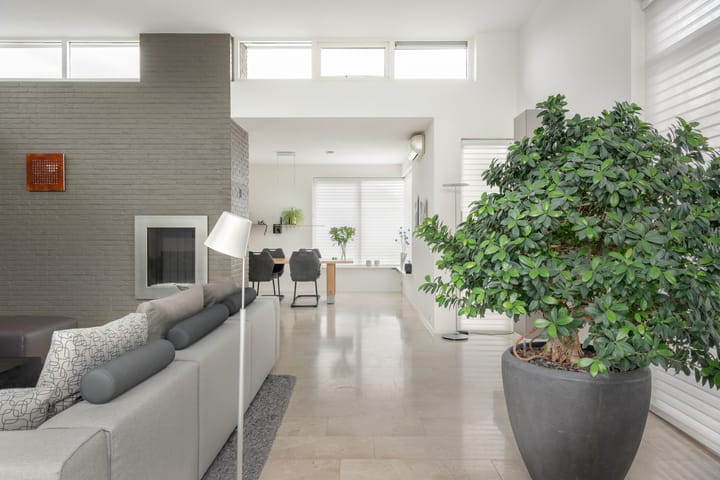 Foto 38 van Rietpol 43