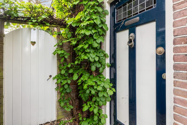 Foto 19 van Mercuriuslaan 47