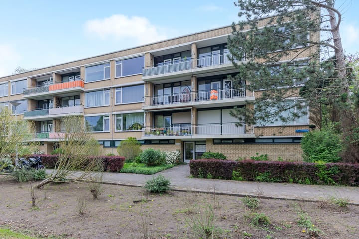 Foto 18 van Nieuwenoord 164