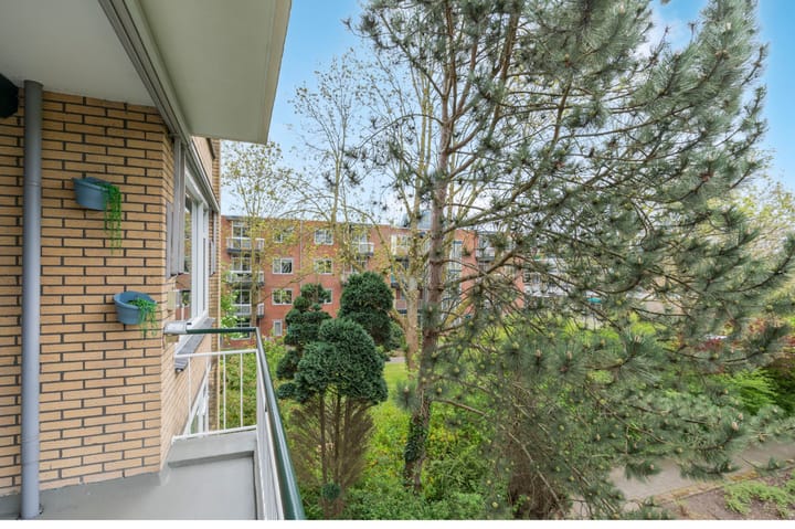 Foto 23 van Nieuwenoord 164