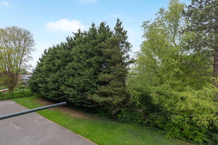 Foto 24 van Nieuwenoord 164