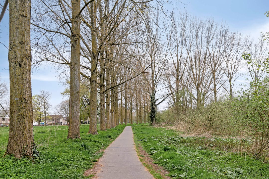 Foto 37 van Bolognalaan 1