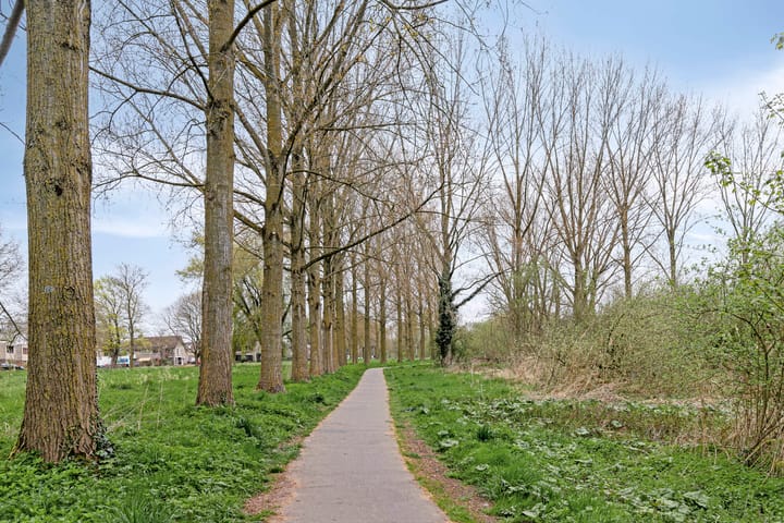 Foto 37 van Bolognalaan 1