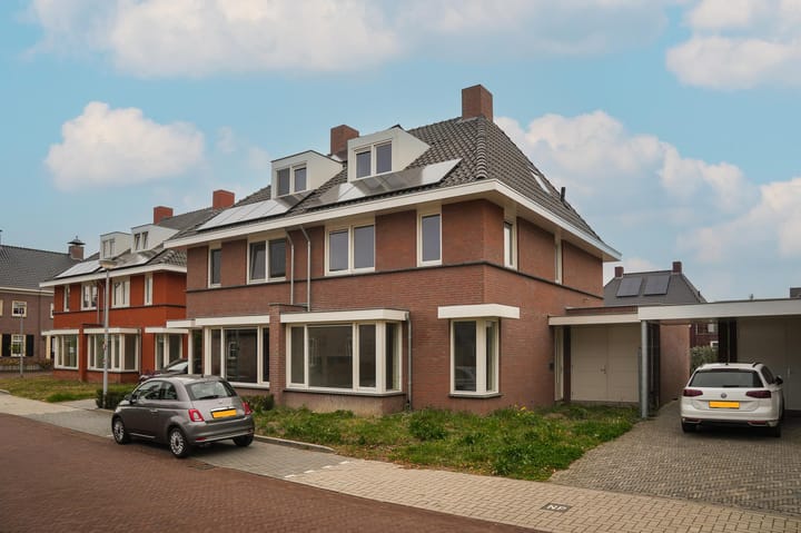 Aalst Watermunt main image
