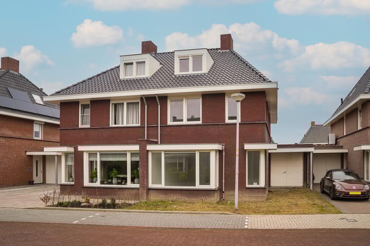 Aalst Watermunt main image